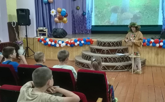 В Доме культуры села Лебедево была проведена познавательно-игровая программа 